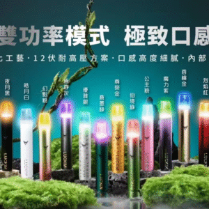 幸運 LUCKIN 主機